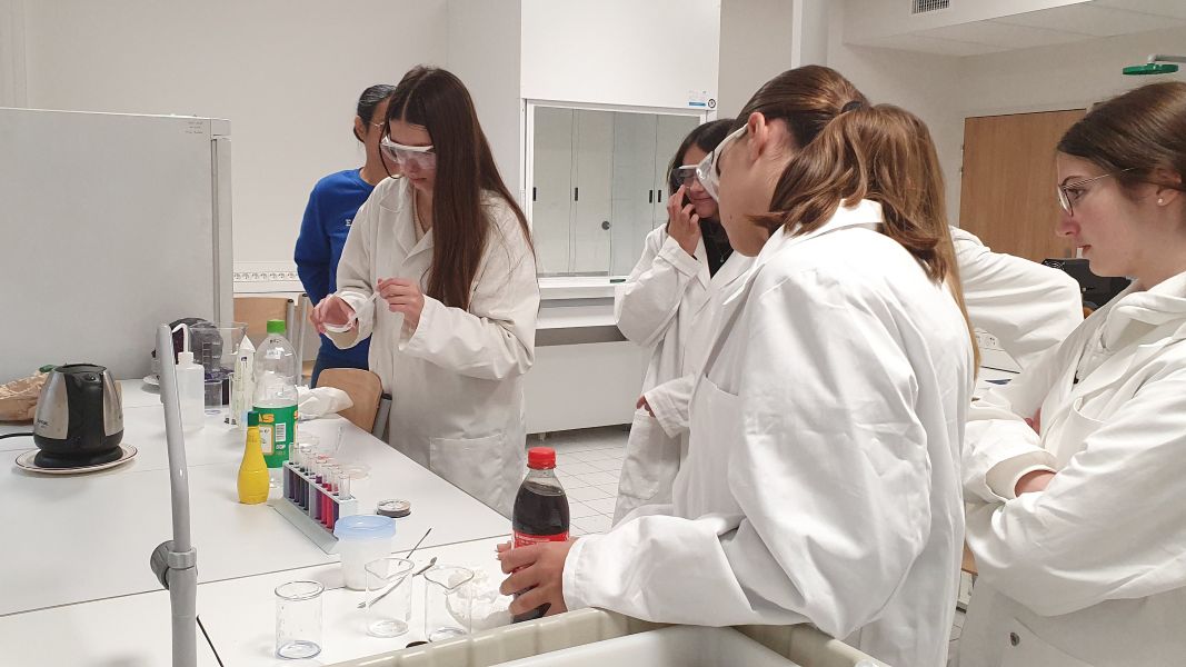 Journée collégiennes 2025