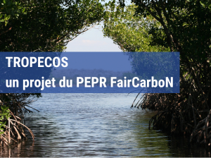 TROPECOS, un projet du PEPR FairCarboN