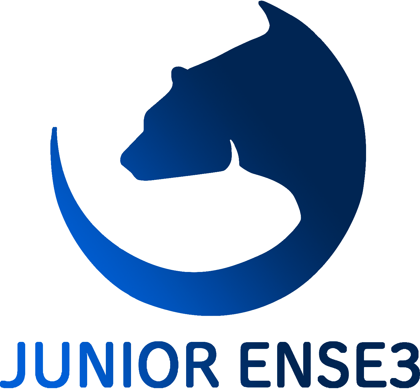 Logo Junior Ense3